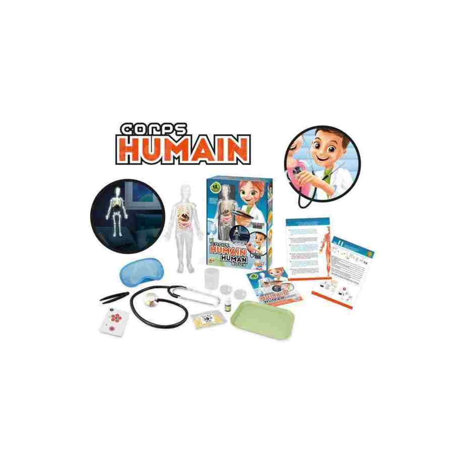 2163 ambiance 600x478 1