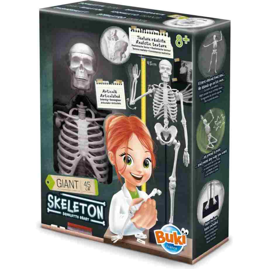 Skelet – Buki