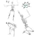 Skelet – Buki - Slika 7
