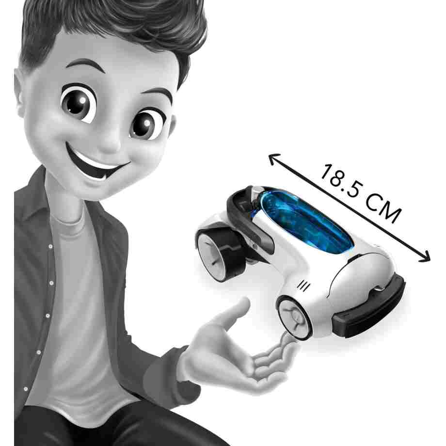 LEO infoTaille 7511 scaled