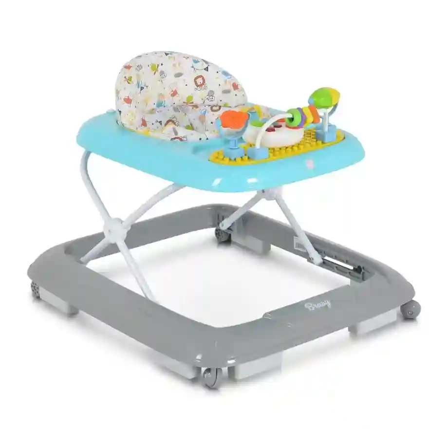 Moni Dubak Bravy Blue