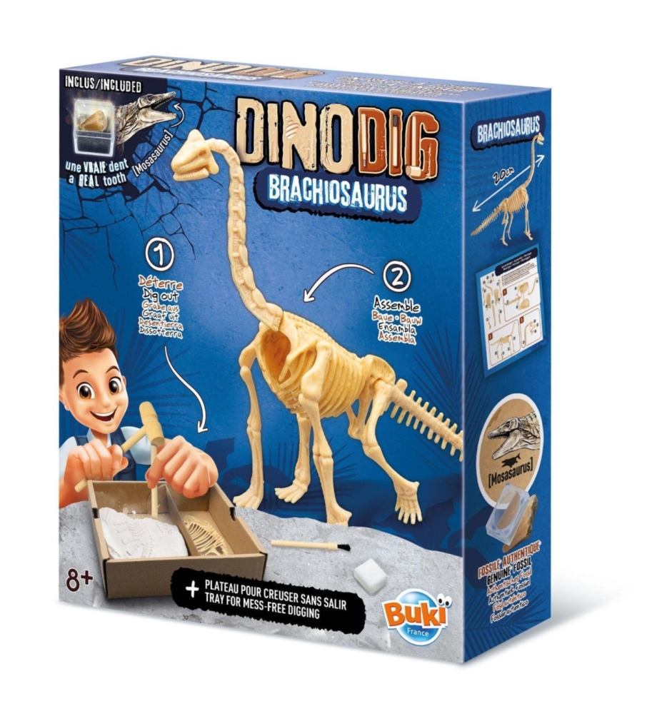 Dino iskopaj skelet - Buki 105930