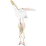 KIKKA BOO Hranilica BRIE 2in1 beige KIKKA BOO Hranilica BRIE 2in1 beige - Slika 6