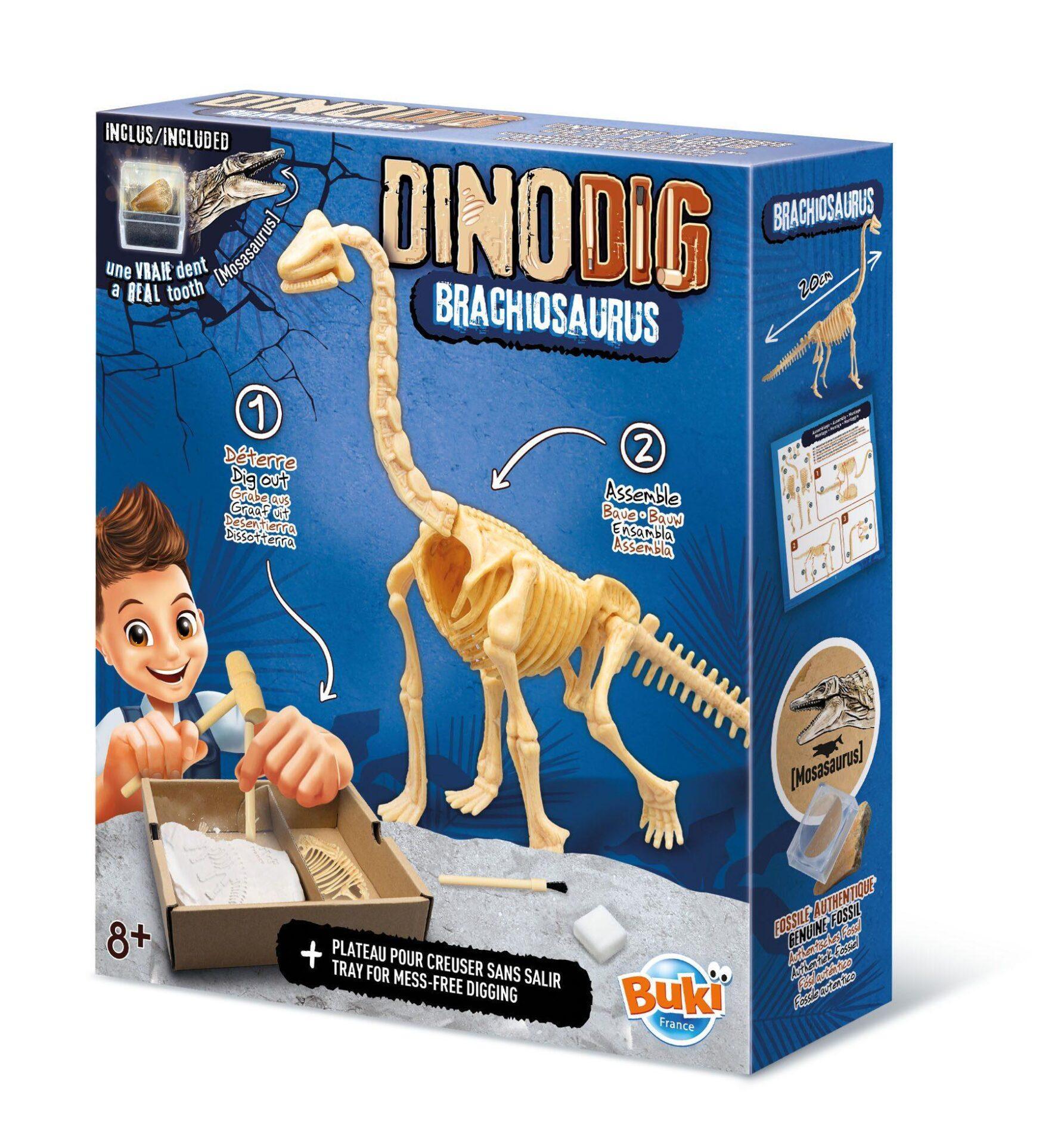 Buki Dino iskopina brachiosaurus, Buki Dino iskopina brachiosaurus,