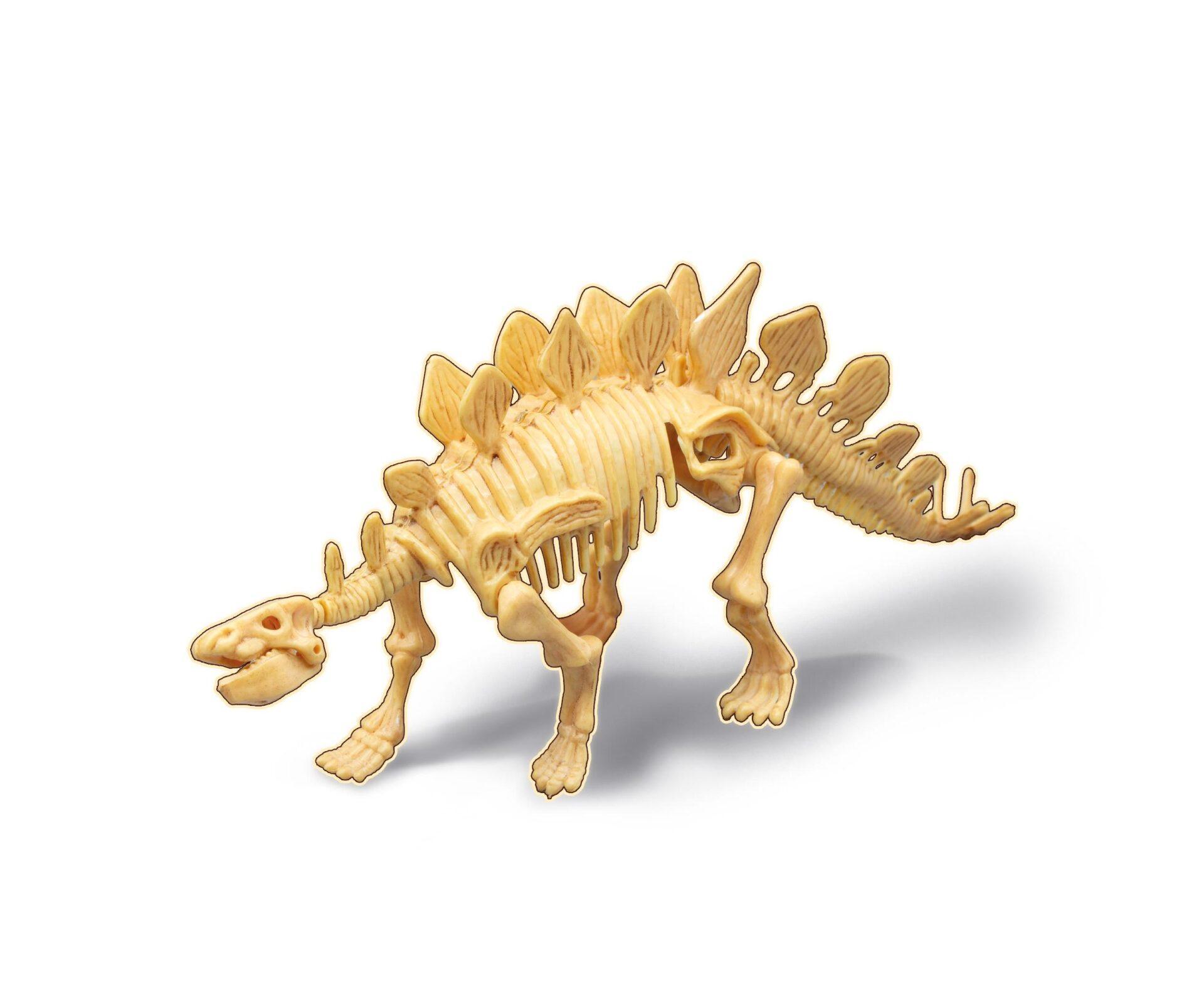 Buki Dino iskopina stegosaurus Buki Dino iskopina stegosaurus