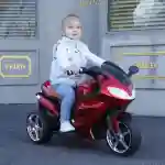 Motor na akumulator Delfino Speed R5 Crveni - Slika 2