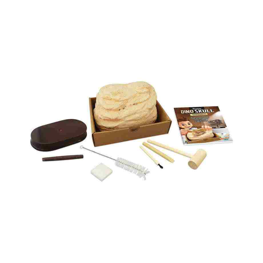 dino skelet 104872 Buki kreativni set za decu bliži prikaz