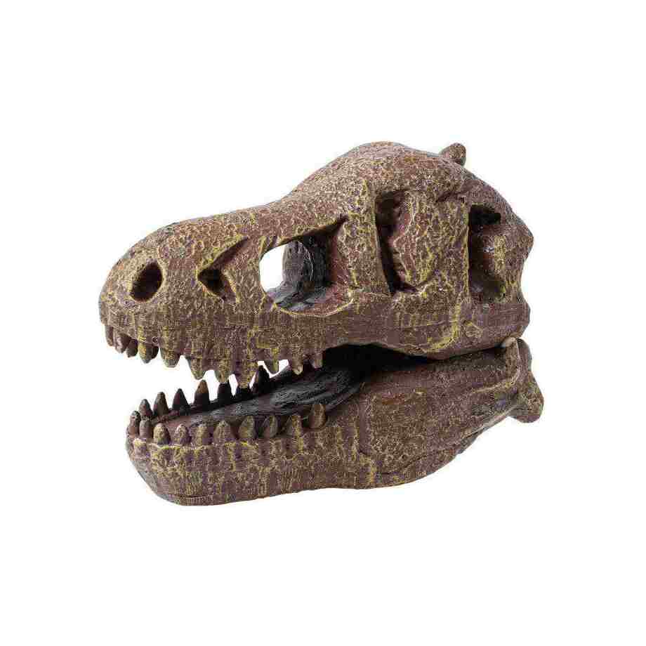 dino skelet 104872 Buki kreativni set za decu detalj