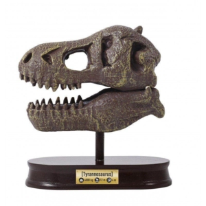 dino skelet 104872 Buki kreativni set za decu pogled sa strane