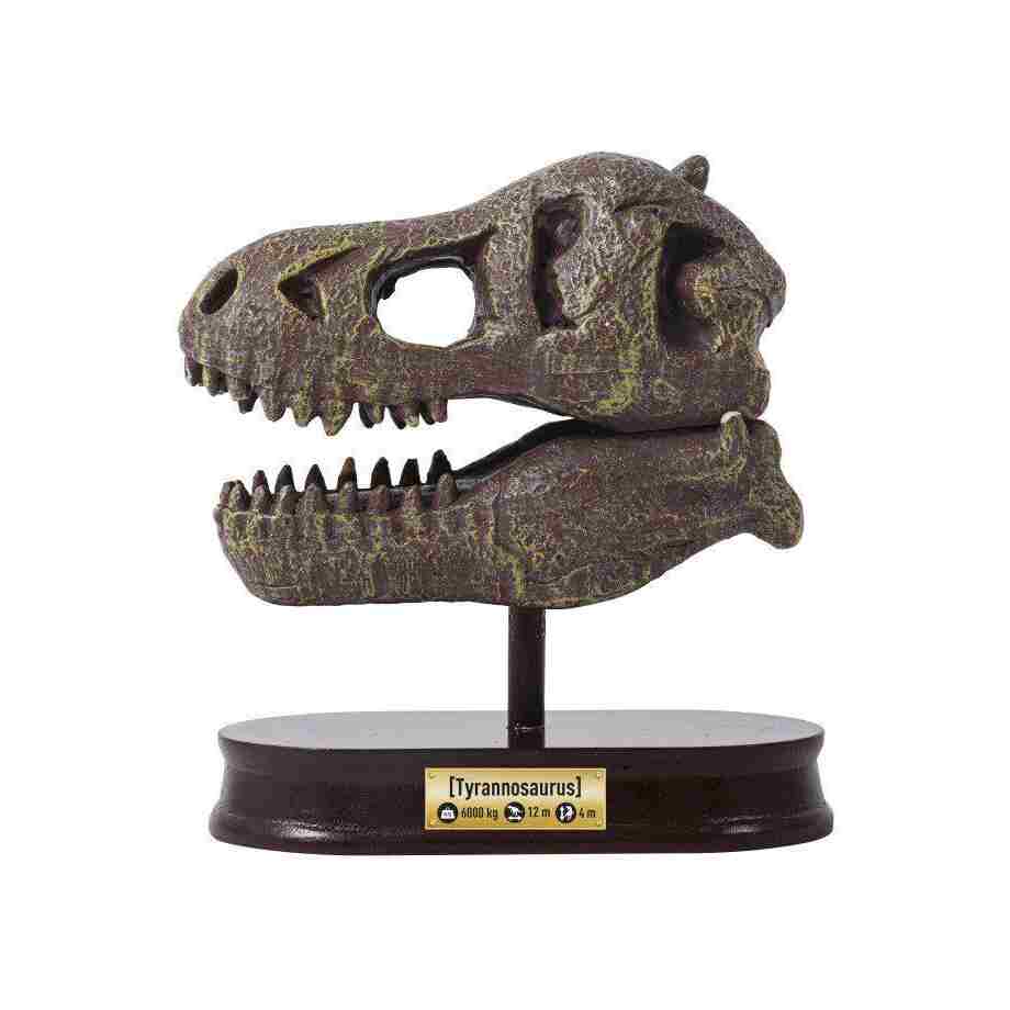 dino skelet 104872 Buki kreativni set za decu pogled sa strane