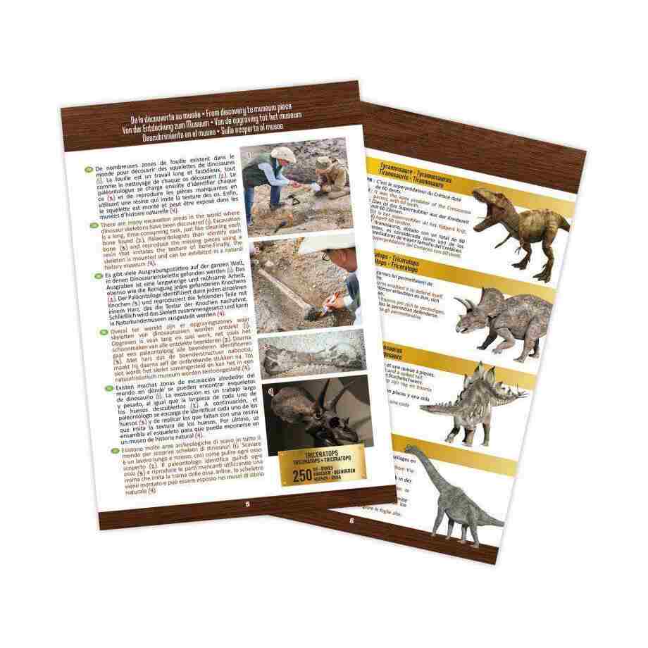 dino skelet 104872 Buki kreativni set za decu zadnja strana