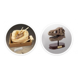 dino skelet 104872 Buki kreativni set za decu tekstura materijala