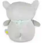 bela buka noćna lampa snuggly raccoon bliži prikaz