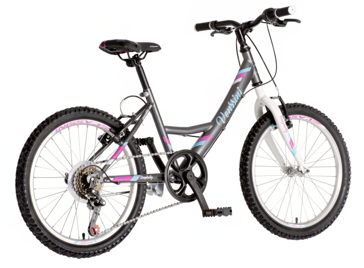 bicikl junior 20 venssini parma sivi polu mat sa v-brake kočnicama