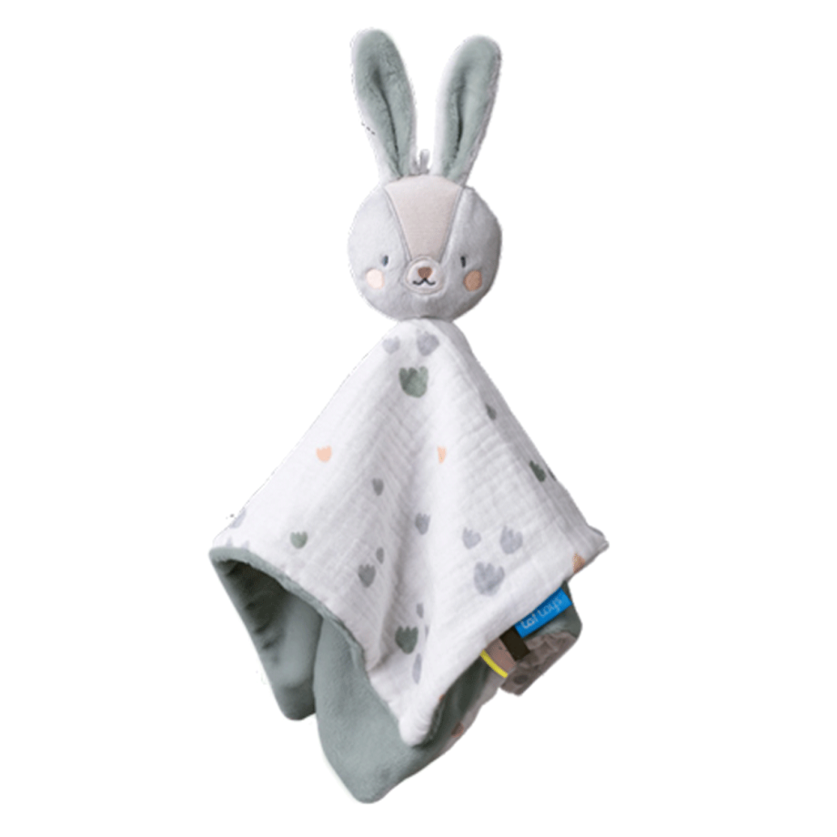 Taf Toys zeka tešilica
