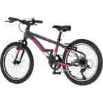 Bicikl junior 20 visitor radiance 20" 11" v-brake 6 brzina 120-142cm (xxs) sivi bicikl junior 20 visitor radiance visitor radiance 20 inča sivi juniorski bicikl 6 brzina v-brake