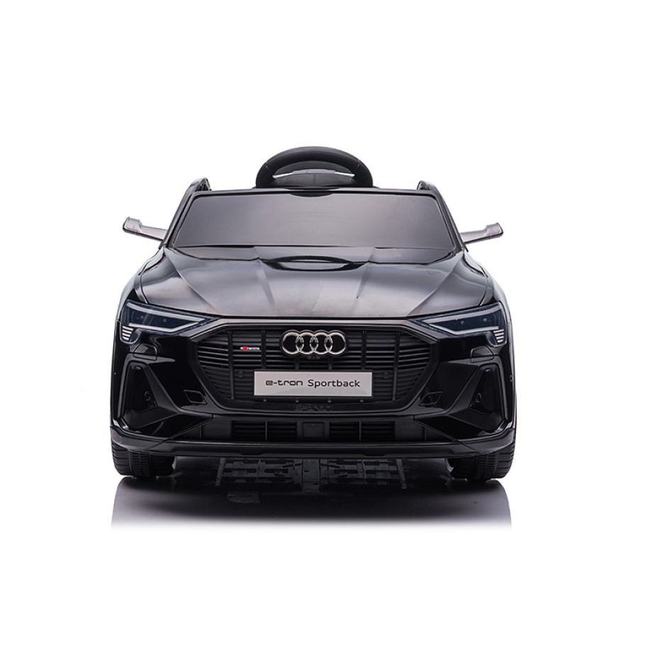 SM 24011C front face