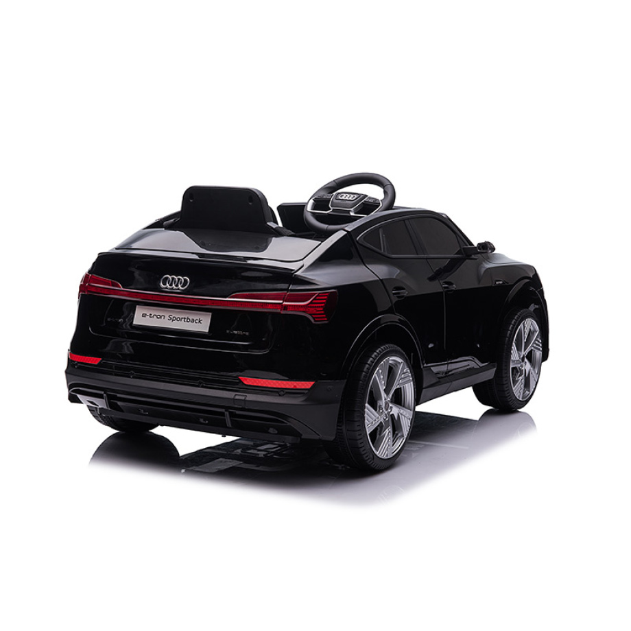 SM 24011C rear side right