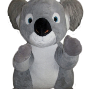 Koala 160256
