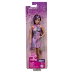 Barbie lutka Family&Friends Skipper