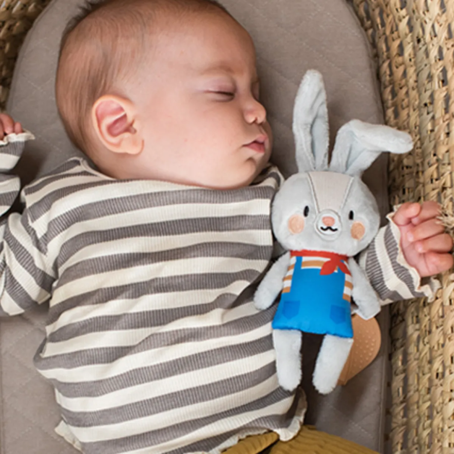 Taf Toys Rylee igračka za kolica, fotografija 2