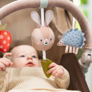 Taf Toys muzički luk za kolica Taf Toys muzički luk za kolica, fotografija 3