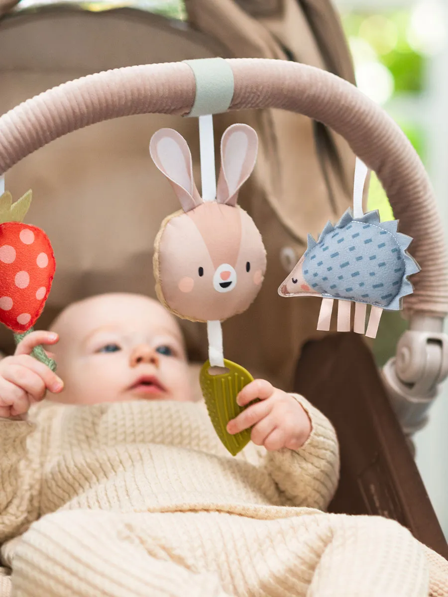 Taf Toys muzički luk za kolica Taf Toys muzički luk za kolica, fotografija 3