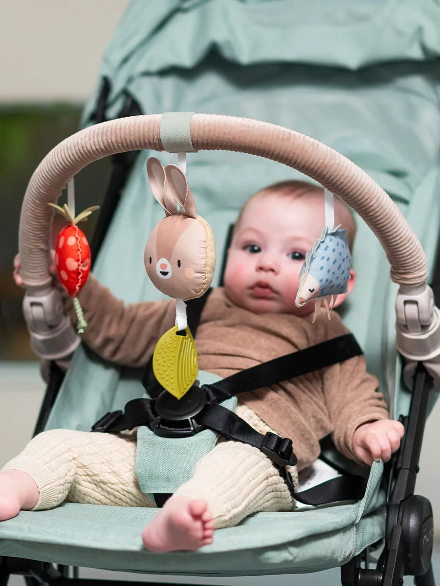 Taf Toys muzički luk za kolica Taf Toys muzički luk za kolica, fotografija 4