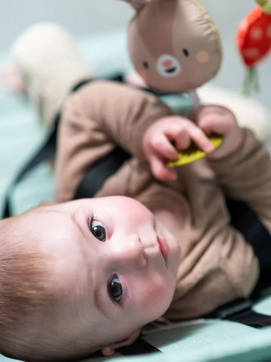 Taf Toys muzički luk za kolica Taf Toys muzički luk za kolica, fotografija 5