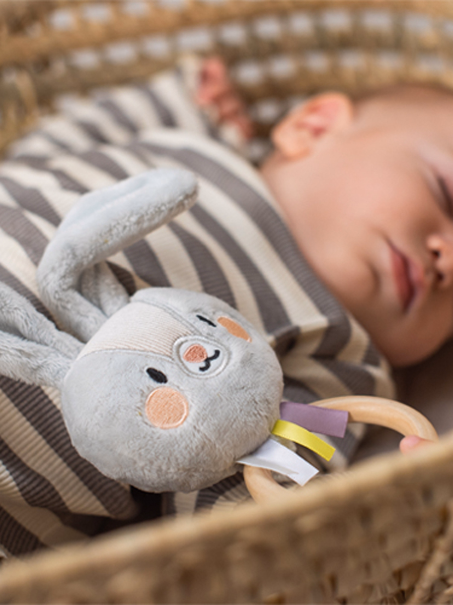 Taf Toys zvečka zeka Rylee, fotografija 2