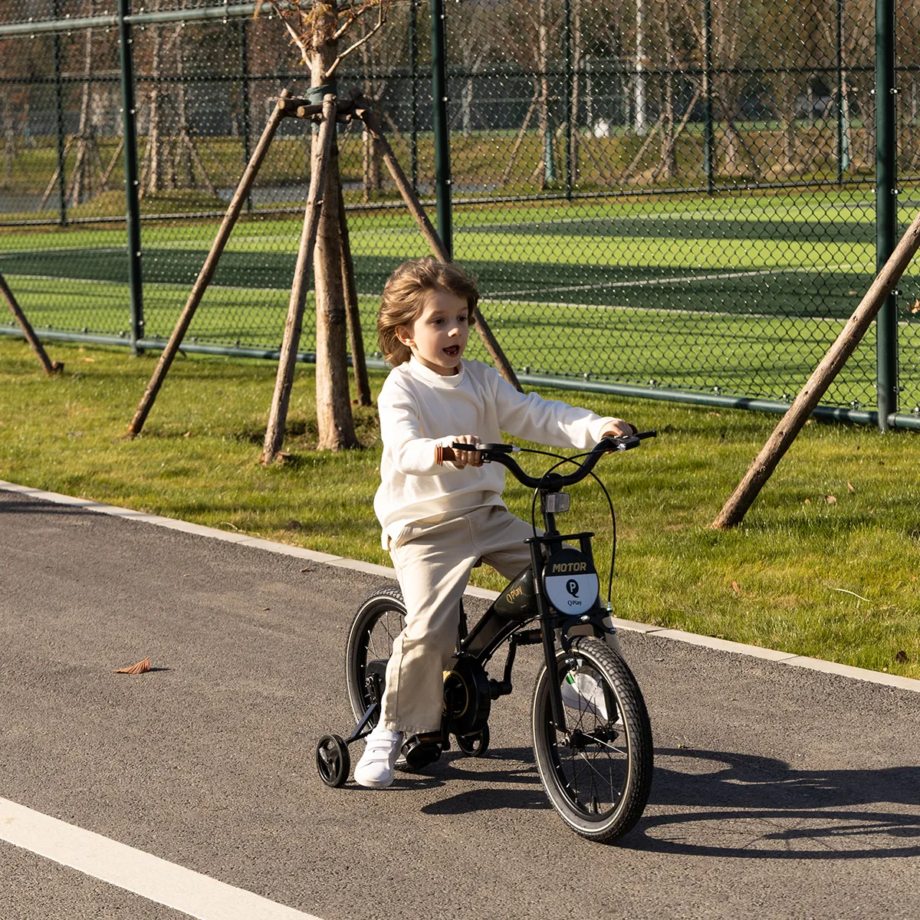 Qplay bicikl Motor 16", crni Qplay bicikl Motor 16 crni, fotografija 7