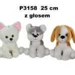 Pas 152497