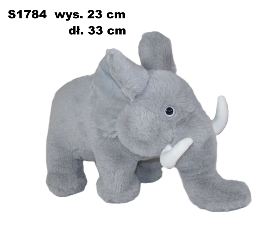Slon 172877