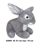 Zec 173737