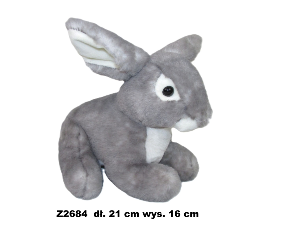 Zec 173737